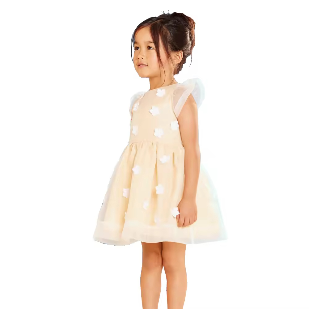 Baby Girl Summer Dress